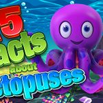 15 Interesting Facts About Octopuses!