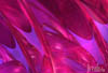 art10 (1)
