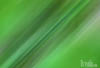 art3 (1)