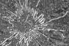 art4 (1)
