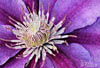 art5 (1)