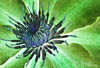 art6 (1)