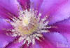 art7 (1)