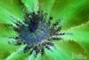 art8 (1)