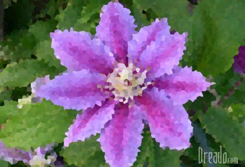 flowers1