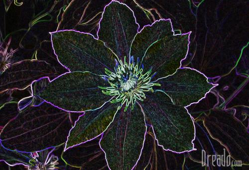 flowers10
