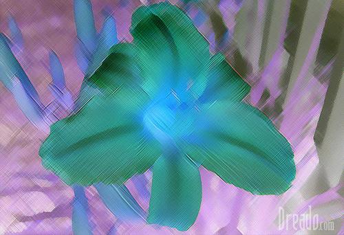 flowers18