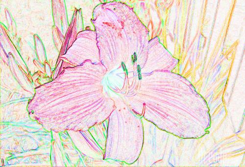 flowers26