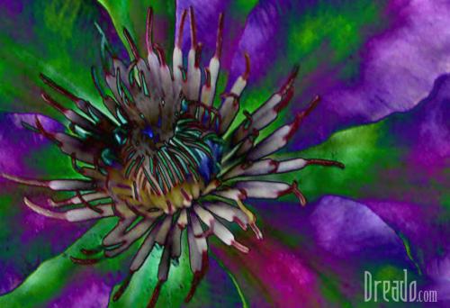 flowers36