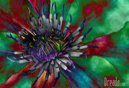 flowers37