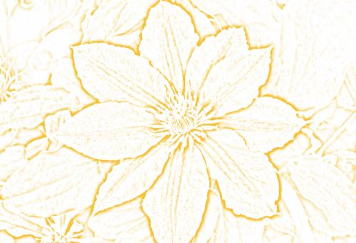 flowers4