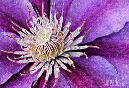 flowers41