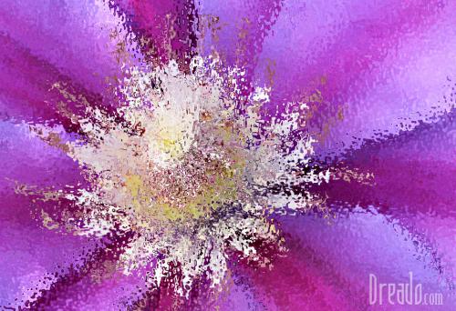 flowers43
