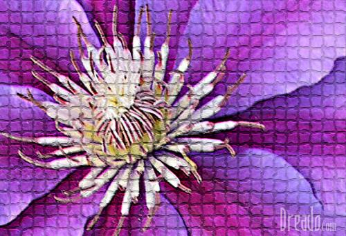 flowers45
