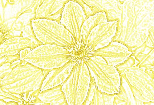flowers9