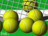sports8